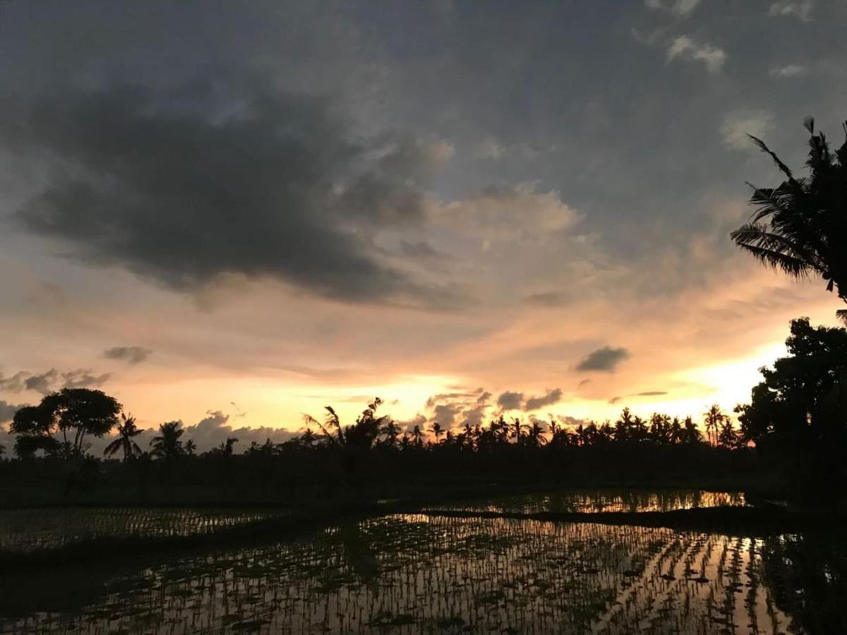 Sunset Pandawa Villa Ubud Exterior foto
