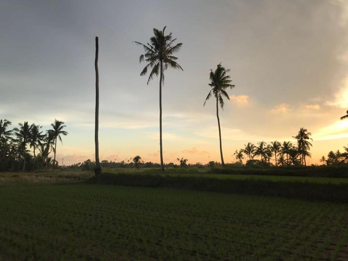 Sunset Pandawa Villa Ubud Exterior foto