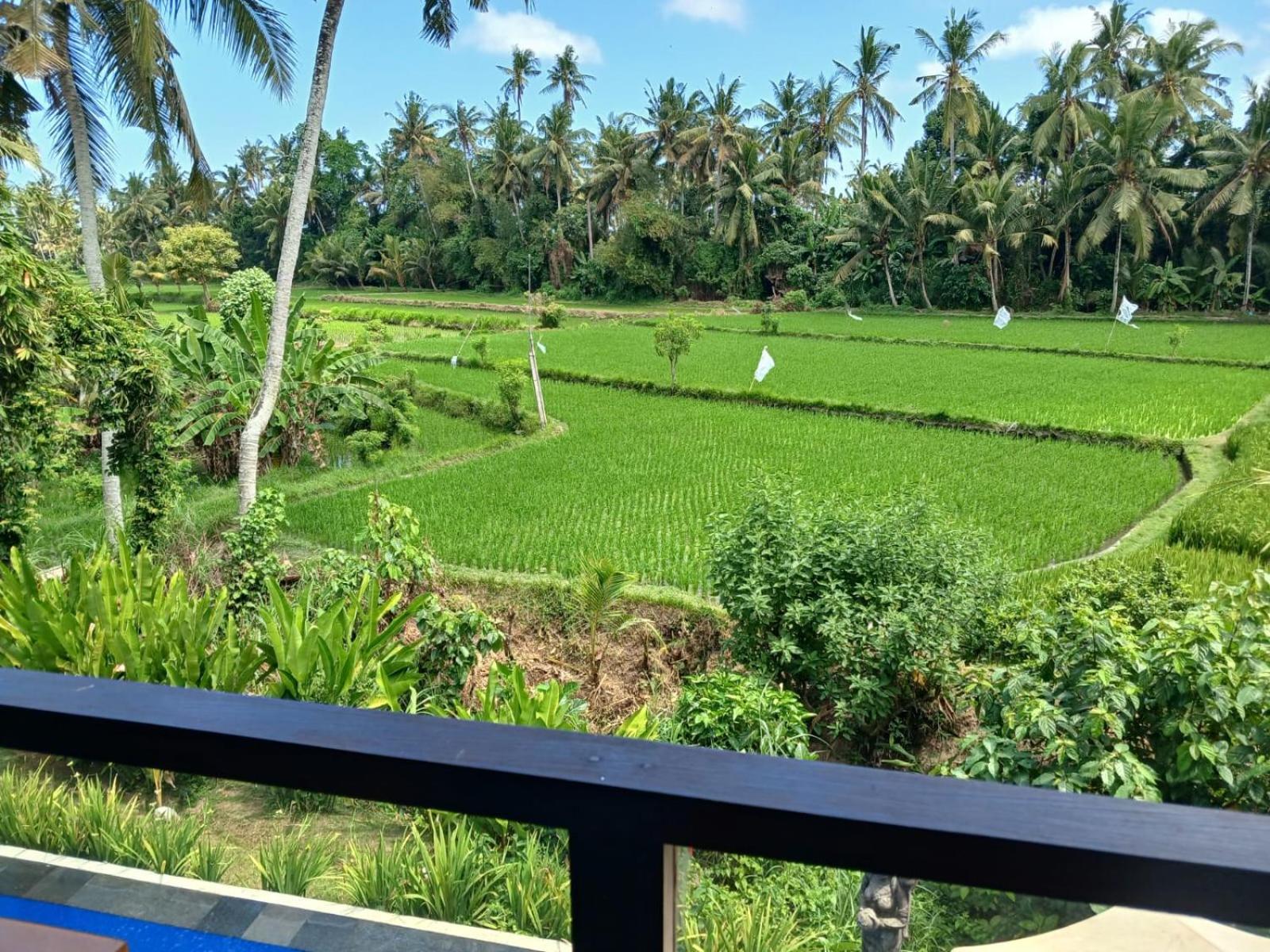Sunset Pandawa Villa Ubud Exterior foto
